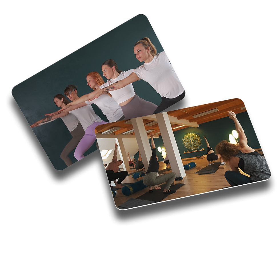 Siddha yoga web