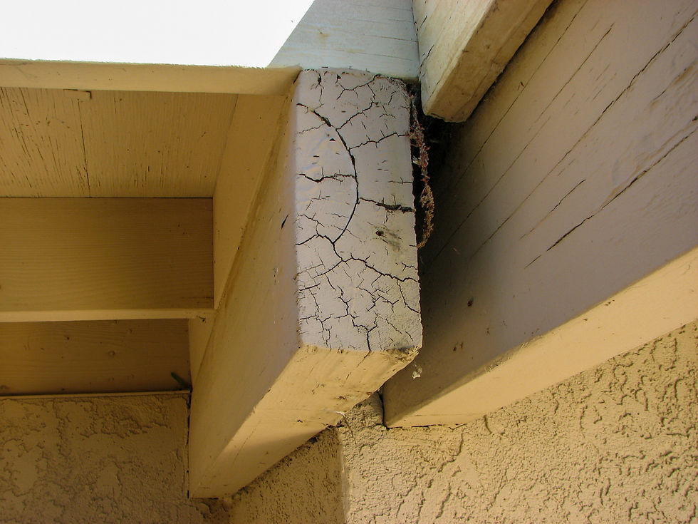 An aging cracking roof beam with signs of dry rot setting in.