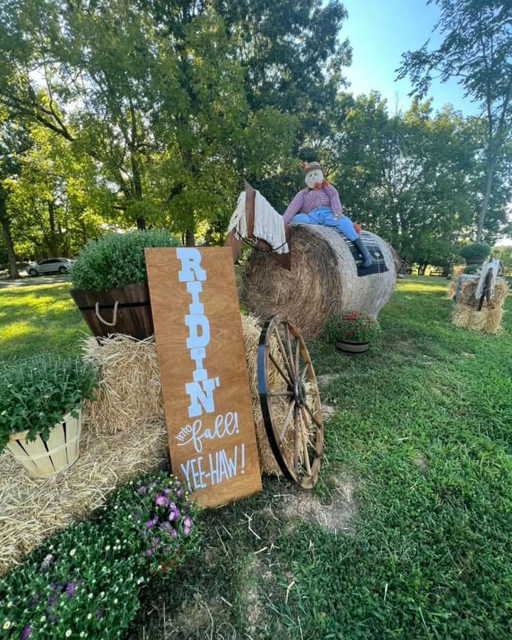 horse hay bale