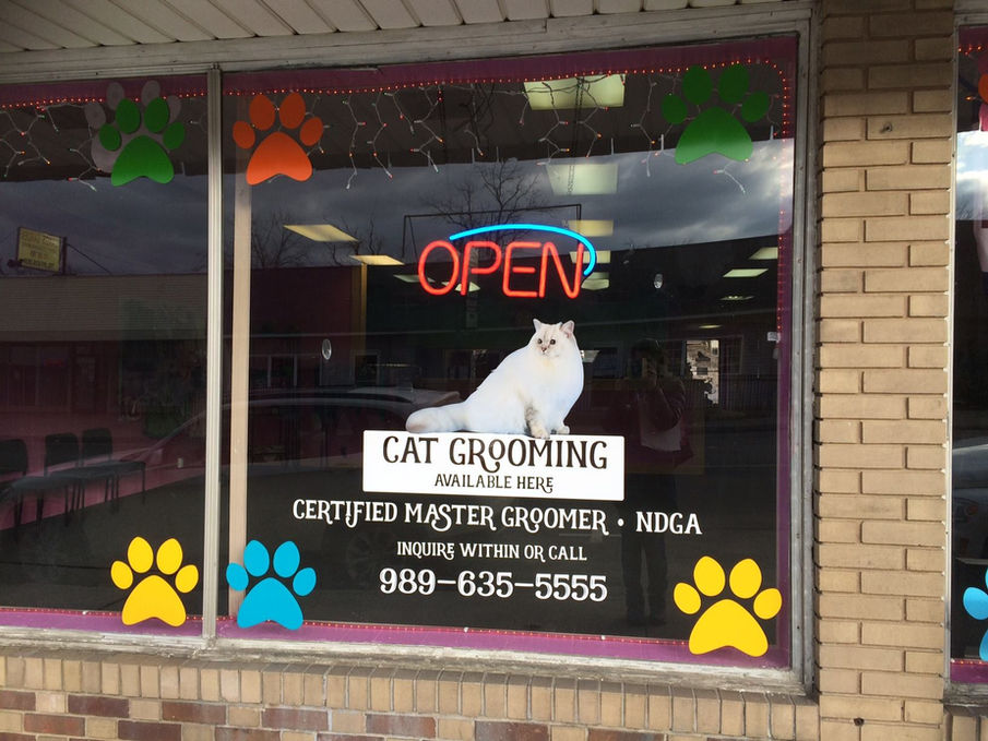 cat grooming window graphics
