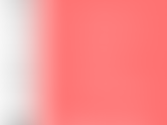 The Gun Show Workout