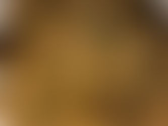 Turkey Parmesan 
Basil Fettuccini Alfredo