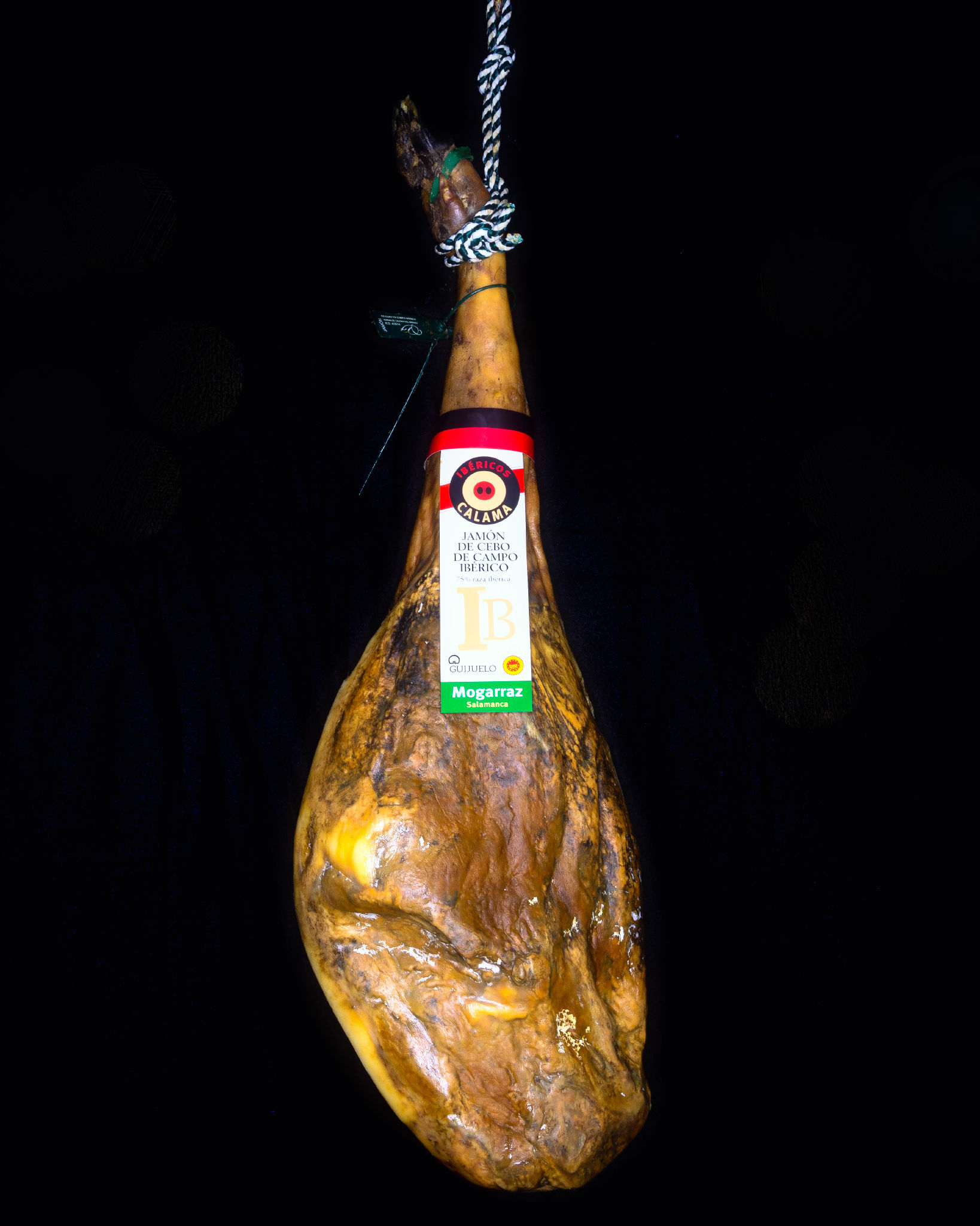 JAMÓN DE CEBO DE CAMPO IBÉRICO 75% RAZA IBÉRICO