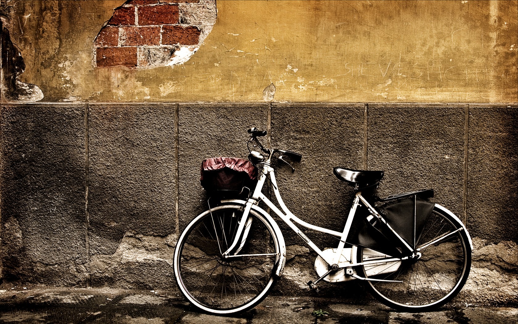 custom built cycles