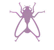 Fly_edited_edited.png