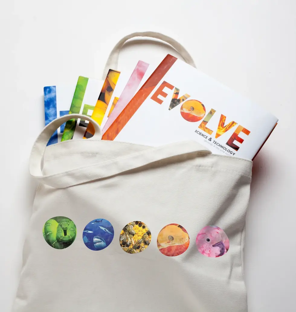 Design concept for Nat Geo children books: Evolve