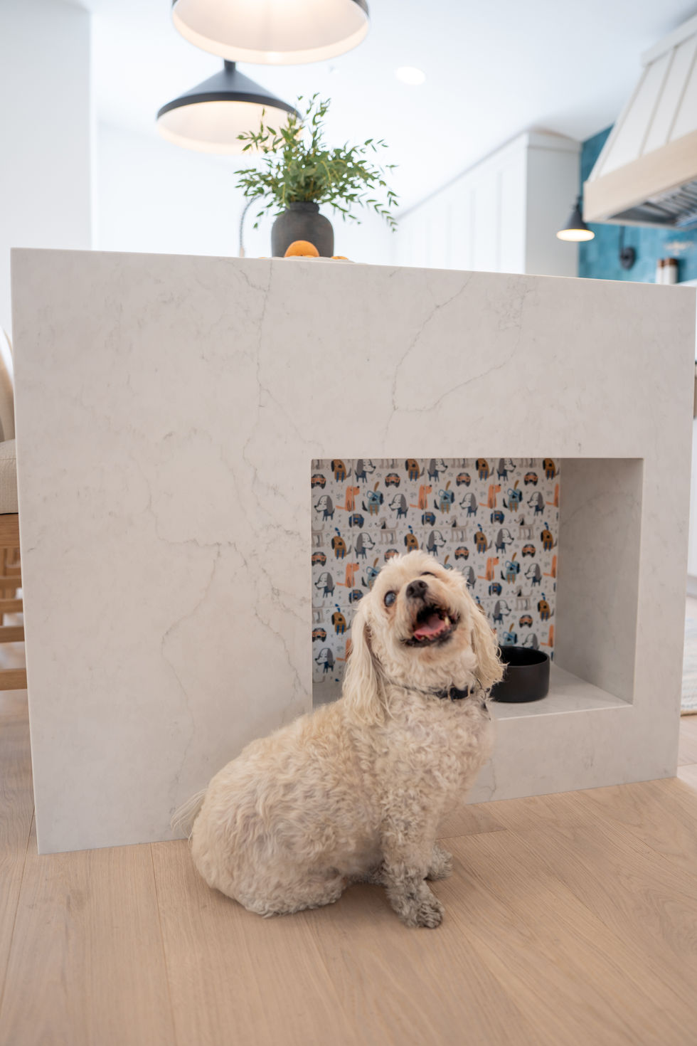 Interior Photography for ACACIA + SRPUCE Design Studio, San Diego CA