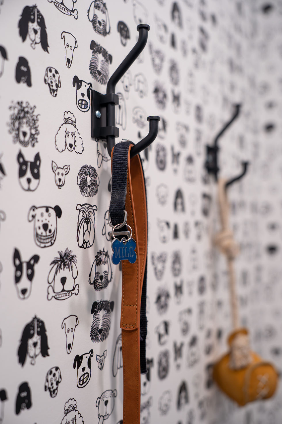 Interior Photography for ACACIA + SRPUCE Design Studio, San Diego CA