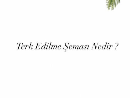 TERK EDİLME ŞEMASI NEDİR ?