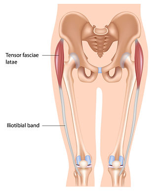 Brad Waddell MD Atlanta  Orthopedic Surgeon