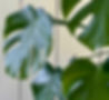2025-11-07_15-57_edited.jpg