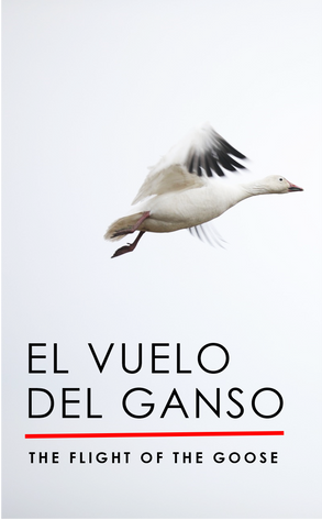 EL VUELO DEL GANSO