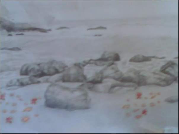 FB_IMG_1688106665123