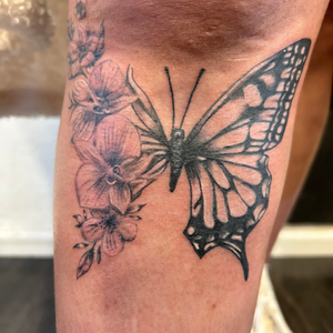 Butterfly Knee tattoo