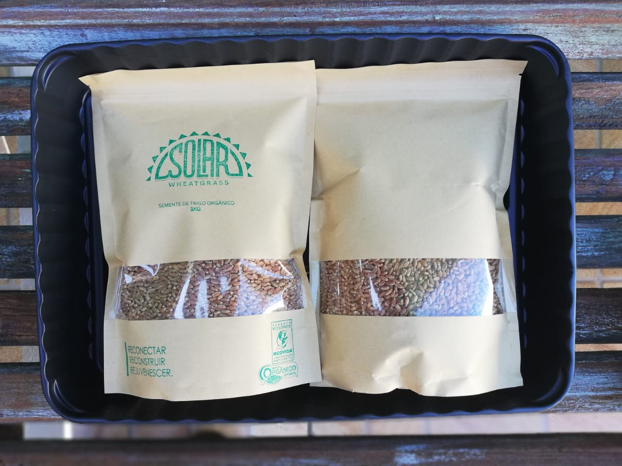 Sementes de Trigo Orgânico 1kg