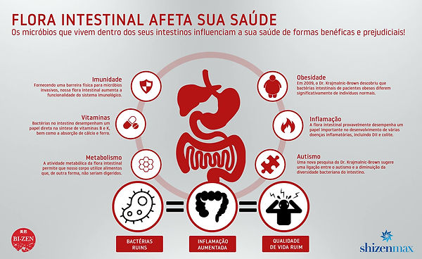 54432520_486218371911223_430668212853748