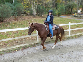 Griffin - Back in the Saddle