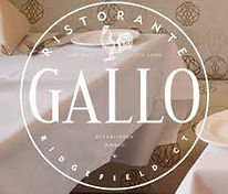 gallo.jpg
