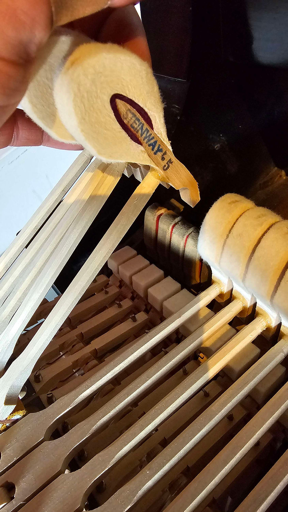 Thumbnail: Steinway Model O Grand Piano