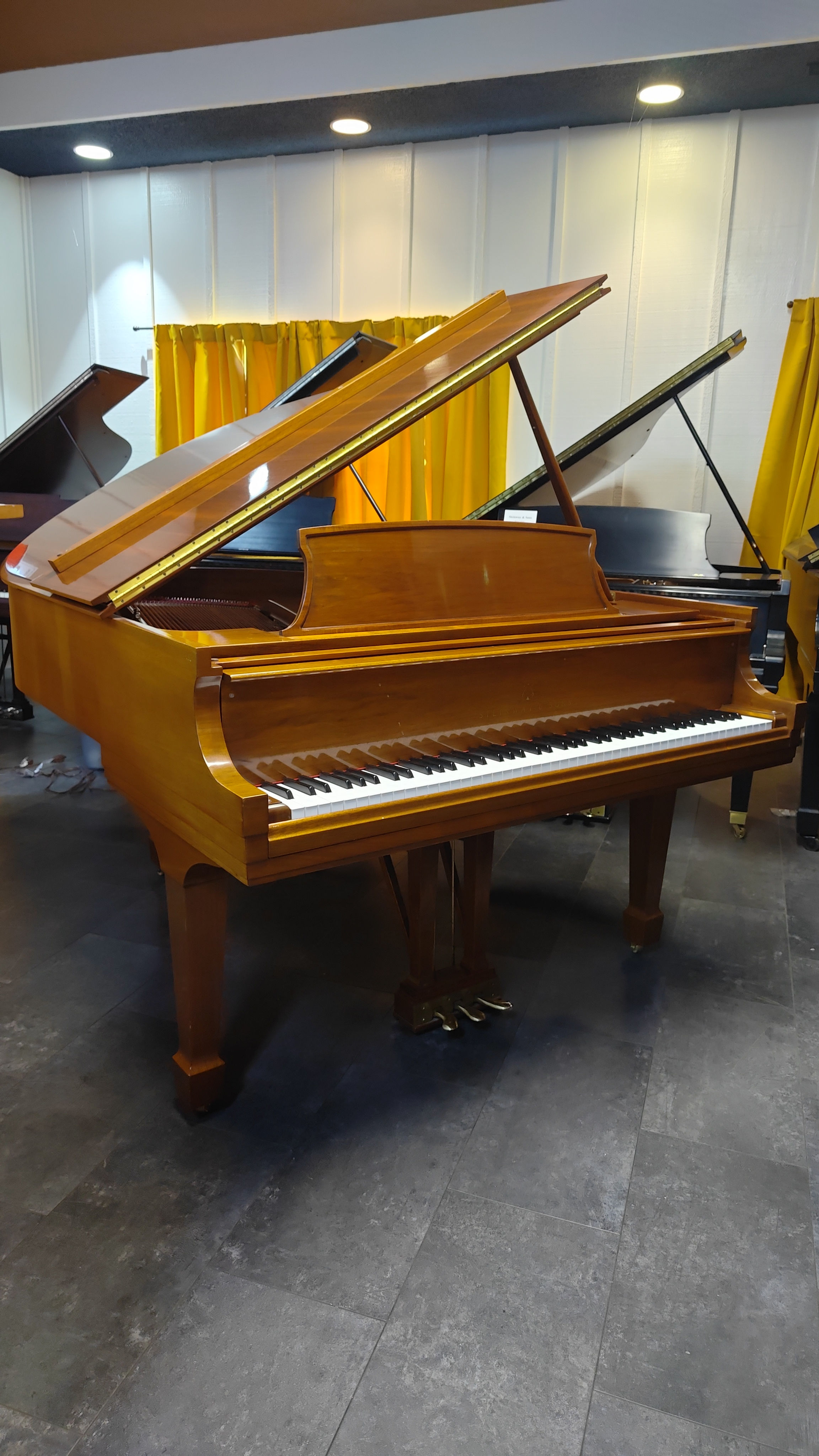 Steinway M