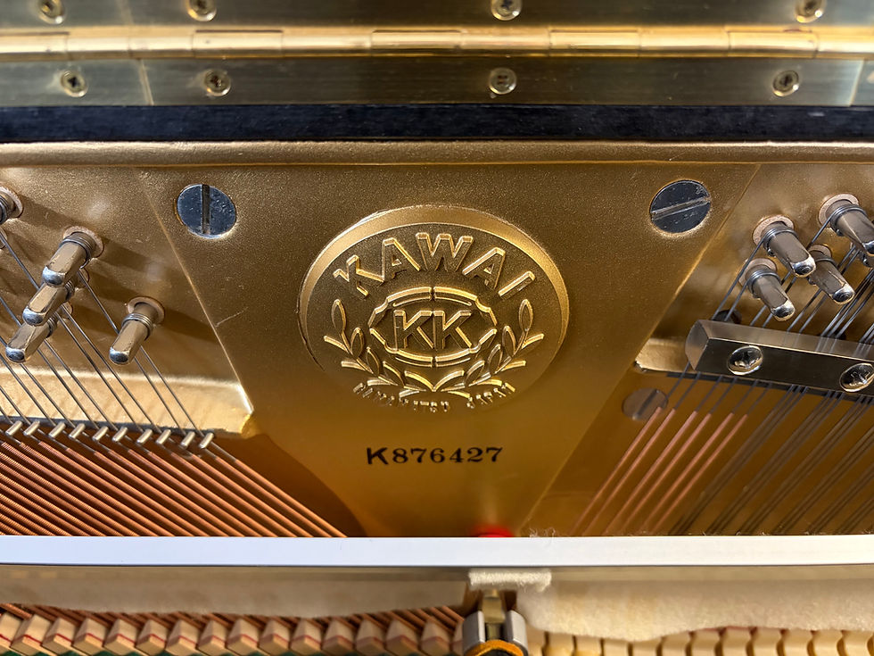 Thumbnail: Kawai BL-51