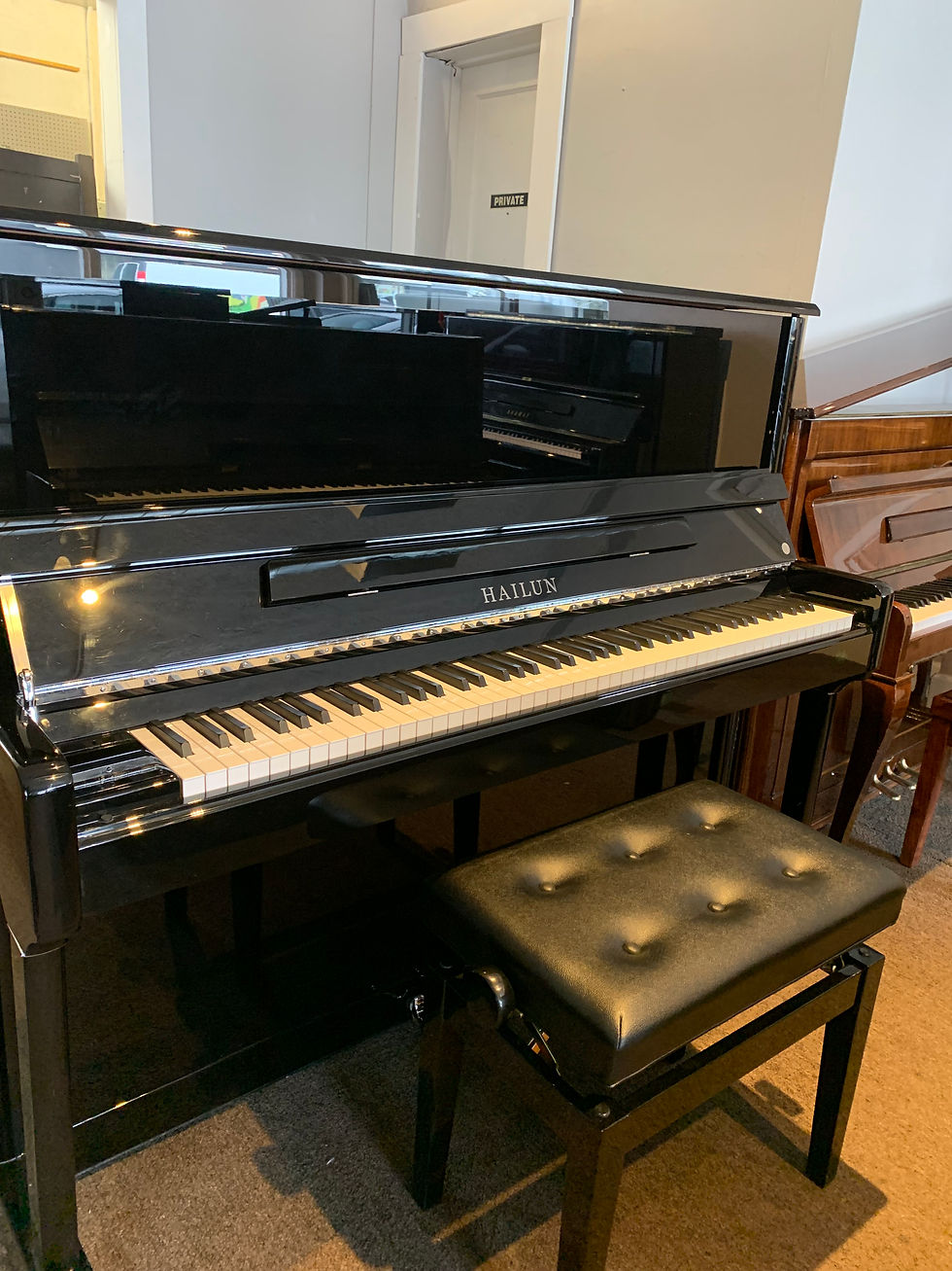 SOLD - Hailun H Series H-5P