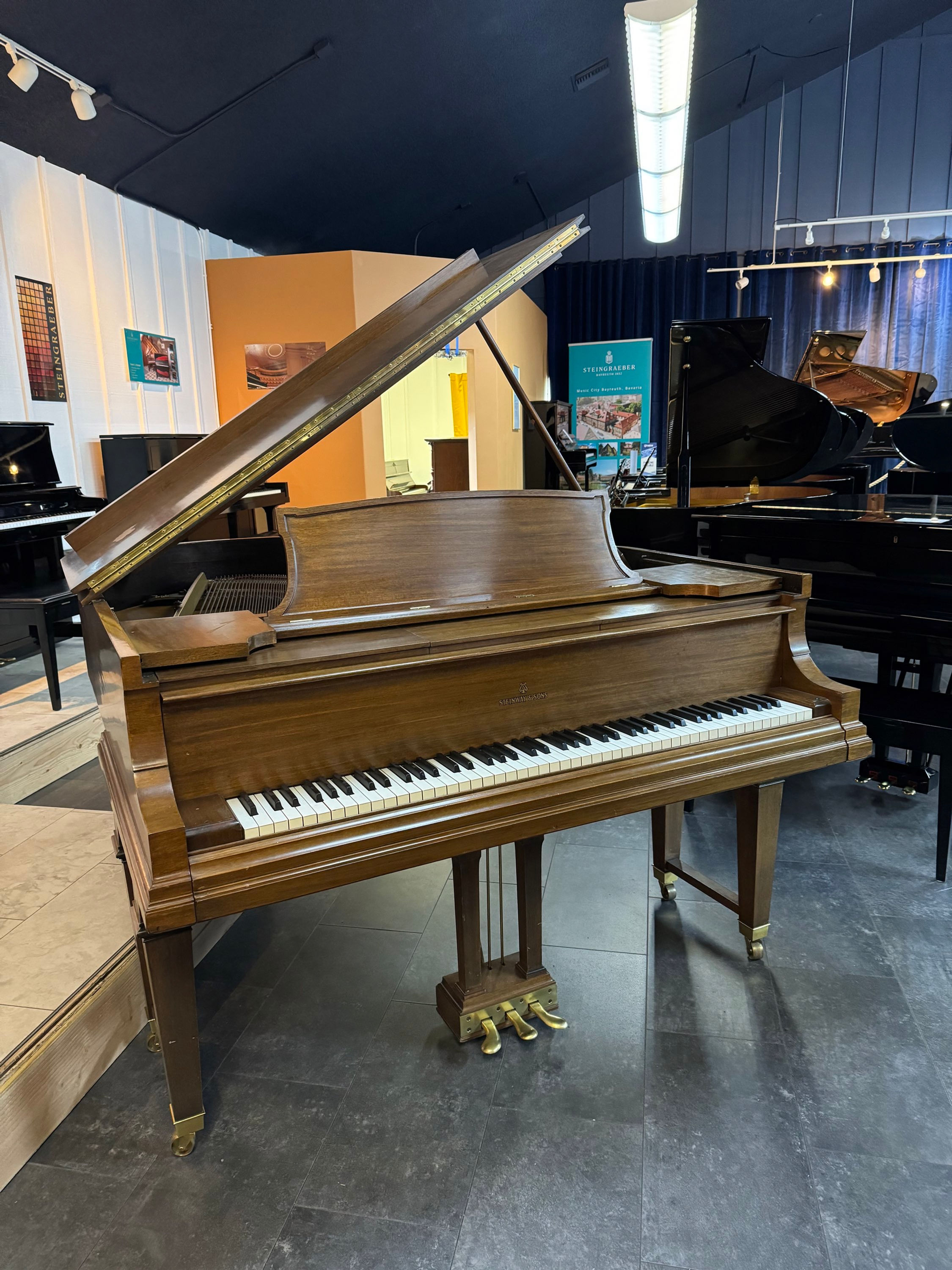 Steinway M Ex Player