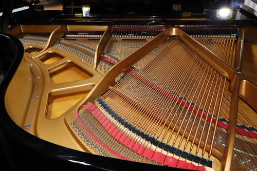 Kohler & Campbell Millenium Series | PianosNow