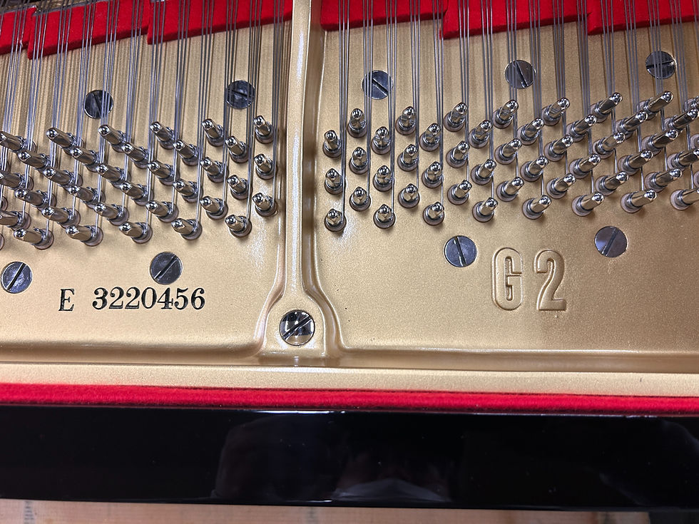 Thumbnail: Yamaha G2E