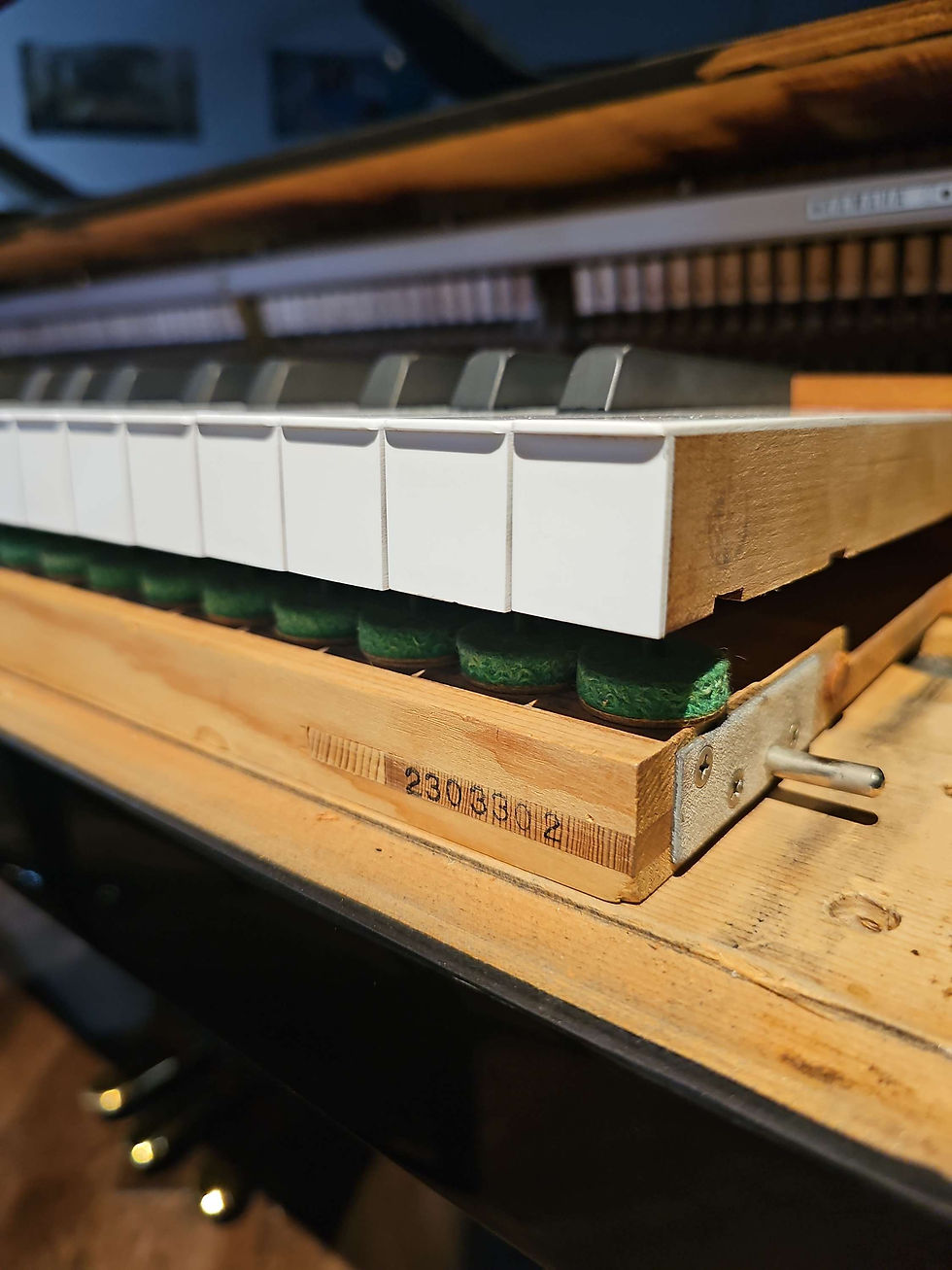 Thumbnail: Yamaha G3