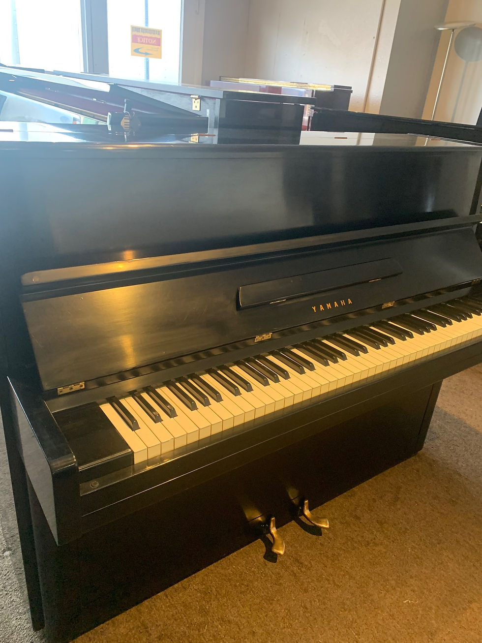 Thumbnail: Yamaha P1