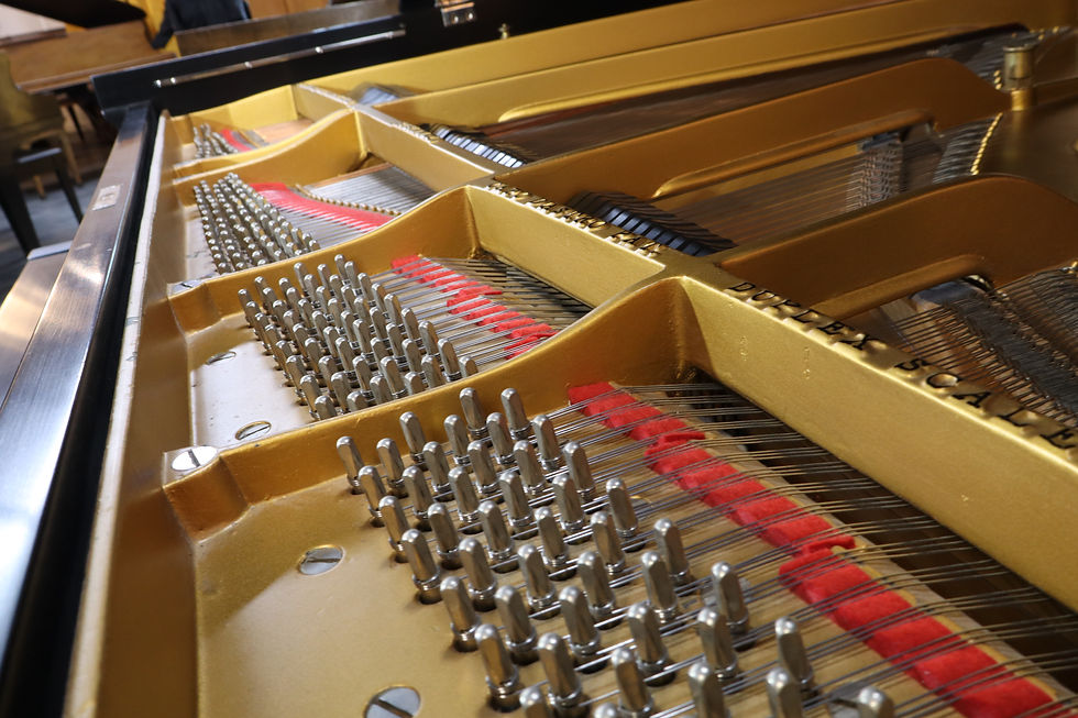 Thumbnail: Steinway M grand piano restored.