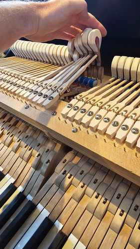 SOLD - J.L. Duysen Grand Piano | PianosNow