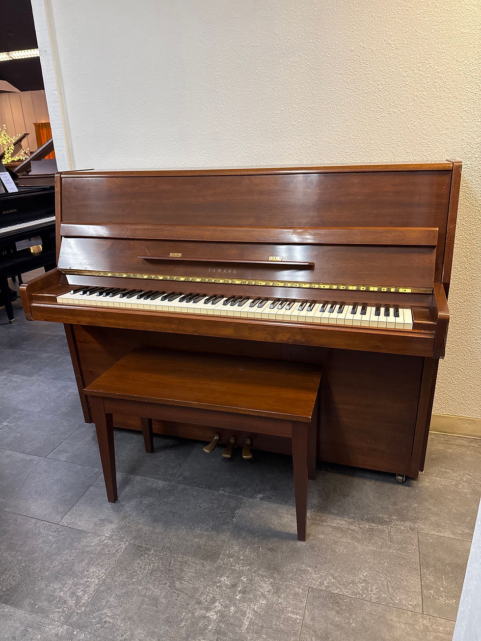 Thumbnail: Yamaha P2