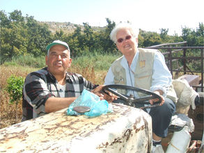 Misrepresentation writ large