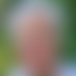 Sharen Green, coordinator of the Lambeth Witness Group