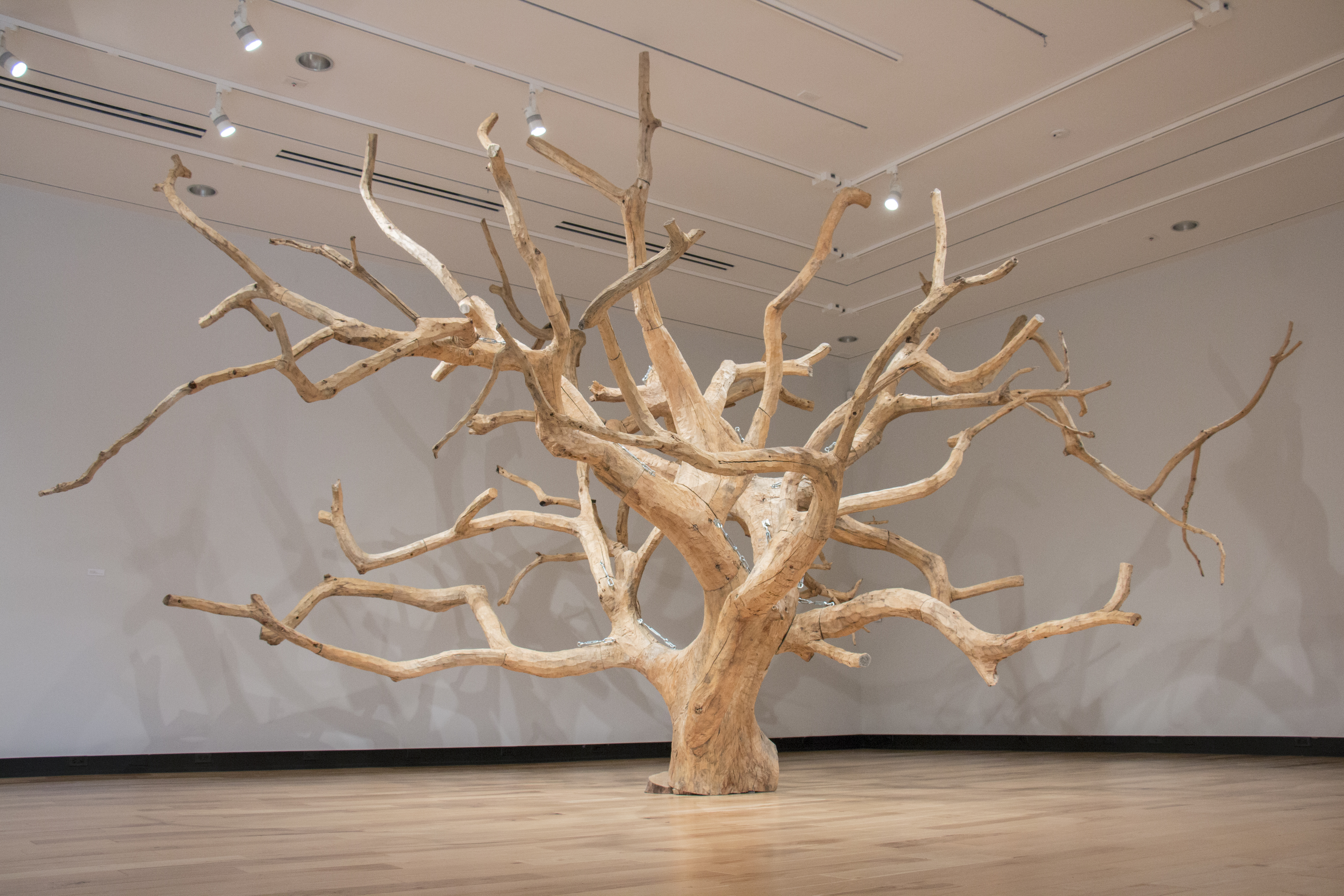 Organic Form at Biola