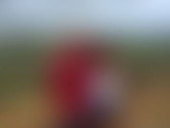 Regional House Prices Australia. Coastal flight