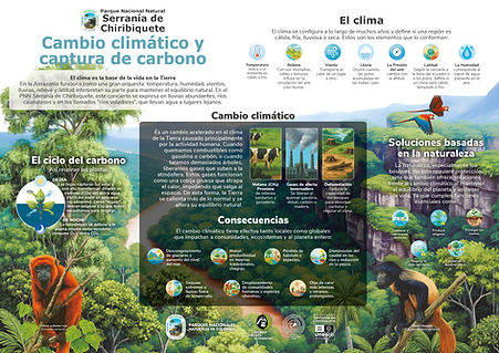 Infografía Módulo 4.jpg