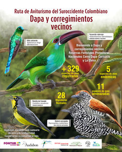 Valla dapa version 6