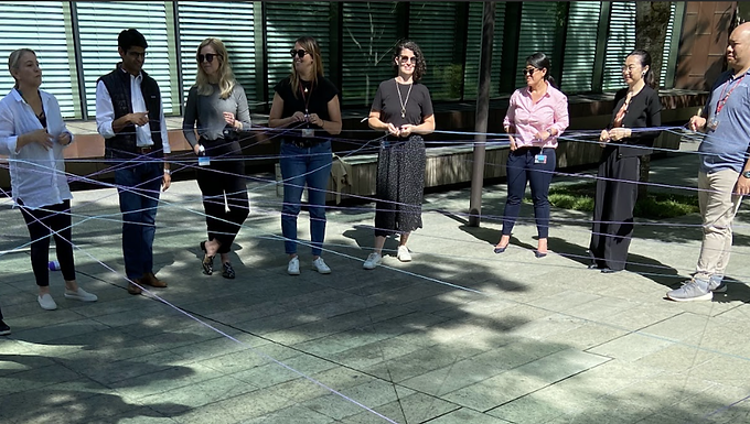 Leadership and Organizational Development, USA – Emergent Inquiry Consulting (EIC)