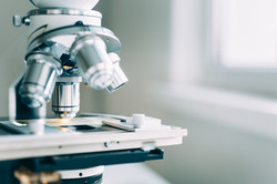2022- MSc/PhD Position available