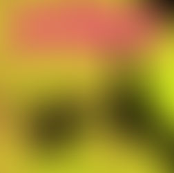 RAMIRO NAVARRO - GROOVE SEQUENCE EP - DUSTPAN RECORDINGS (DR259)