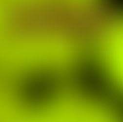 Cezar Touch - Bar Wisdom EP - Dustpan Recordings (DR232)