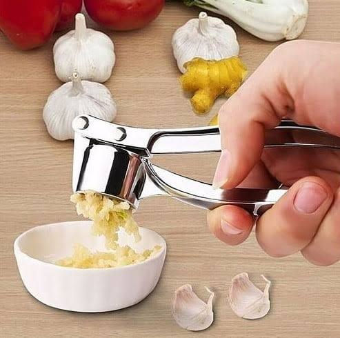 Stainless Steel Garlic Press