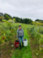 Harvest 2025