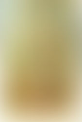 Blog Post - August 11th