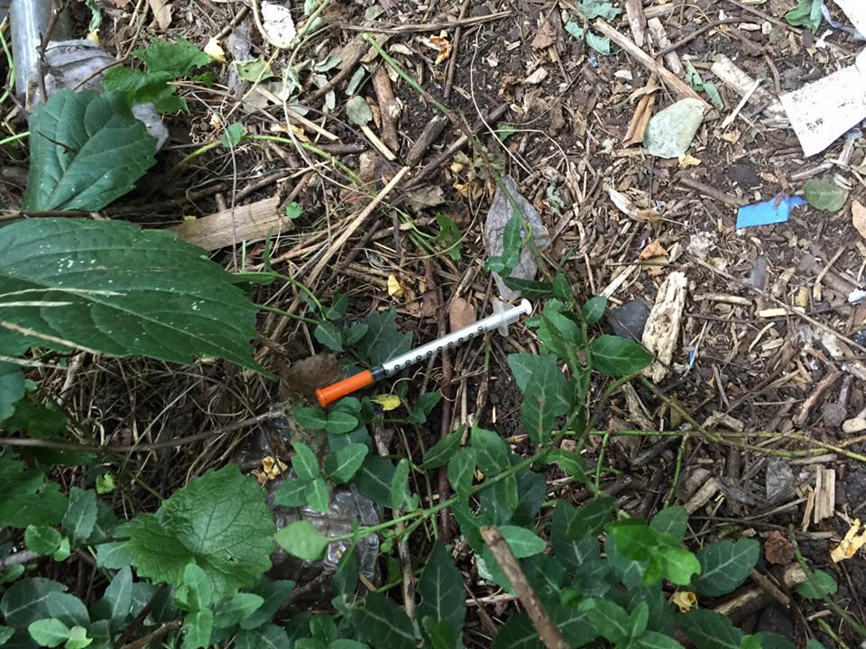 More found in a trail