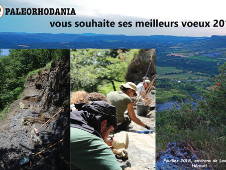Paleorhodania vous souhaite une merveilleuse année 2019 !