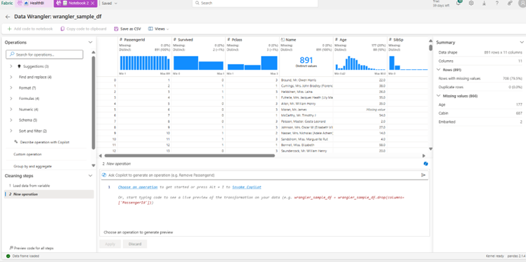 Data profiling view showing column summaries and stats